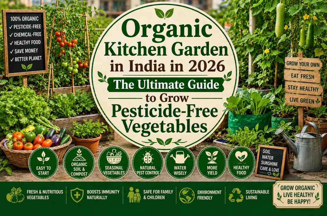 Organic Kitchen Garden in India in 2026